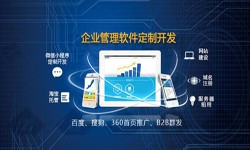 Erp软件开发的发展现状-北京软件开发公司开云手机入口站官网