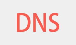 北京软件开发、DNS的基本概念、北京开云手机入口站官网软件开发