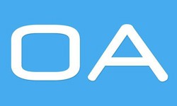 软件外包公司、OA系统开发功能有哪些？费用是多少-软件开发公司[北京开云手机入口站官网]
