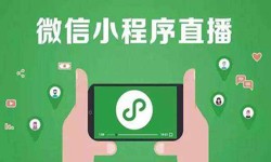 微信小程序开发、直播小程序开发-开云手机入口站官网软件开发公司 