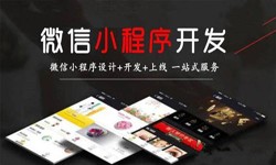 软件开发公司、定制微信小程序开发，商家需要了解哪些？开云手机入口站官网软件开发