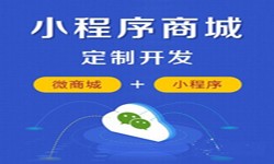 微信小程序开发、商城小程序开发功能-开云手机入口站官网软件开发